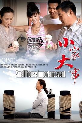 小家大事 (2008)海报
