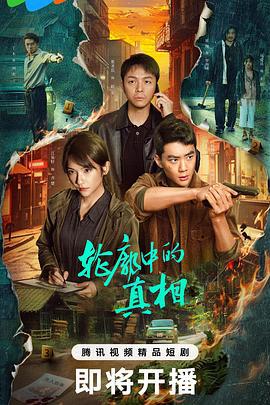 轮廓中的真相 (2025)海报