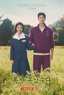 苦尽柑来遇见你 폭싹 속았수다 (2025)海报