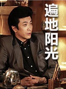 遍地阳光 (2013)海报