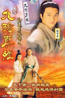 九阴真经 九阴真经 (1993)海报