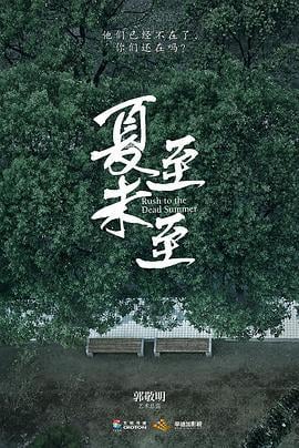 夏至未至 (2017)海报