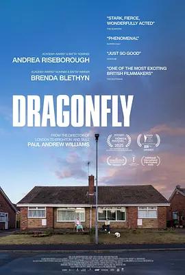 危情蜻蜓 Dragonfly (2025)海报