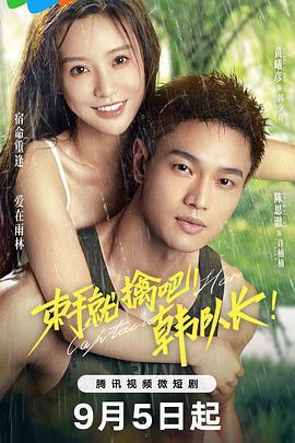 束手就擒吧！韩队长！ (2023)海报