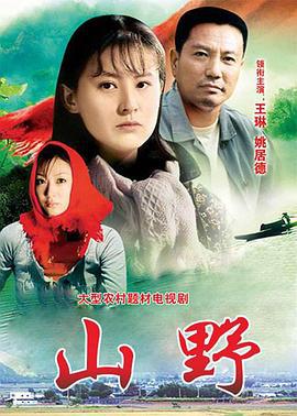 山野 (2000)海报