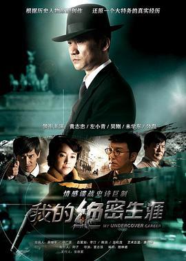 我的绝密生涯 (2014)海报