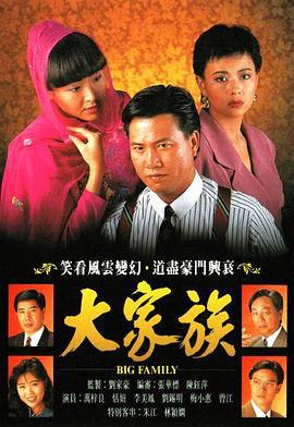 大家族 (1991)海报