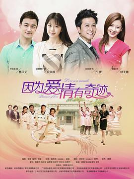 因为爱情有奇迹 (2014)海报