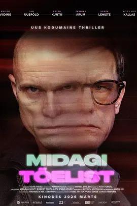 真实之物 Midagi tõelist (2026)海报