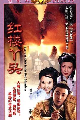 红楼丫头 (2002)海报