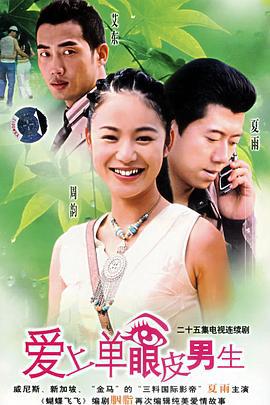 爱上单眼皮男生 (2005)海报