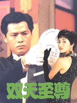 双天至尊 (1993)海报