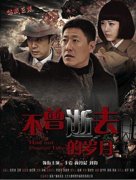 密使2之江都谍影 (2013)海报