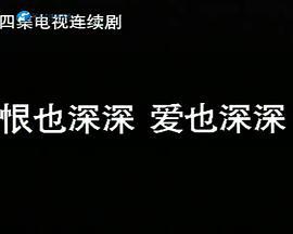 恨也深深爱也深深 (1999)海报