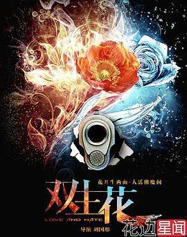 双生花 (2014)海报