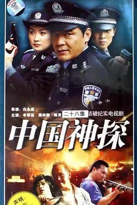 中国神探 (2008)海报