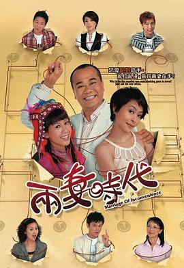 两妻时代 (2007)海报