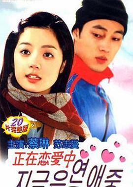 正在恋爱中 지금은 연애중 (2002)海报