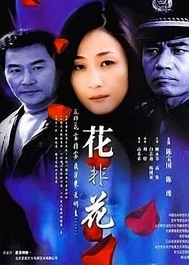 花非花 (2002)海报