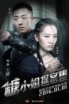 糖小姐探案集 (2016)海报