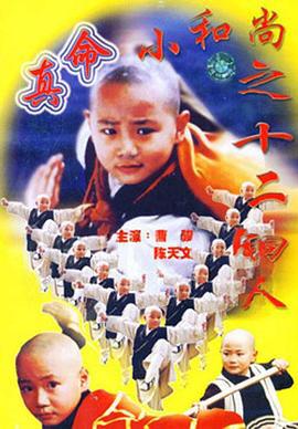 真命小和尚之十二铜人 (1997)海报