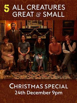 万物生灵：2025圣诞特别集 All Creatures Great and Small: 2025 Christmas Special (2025)海报