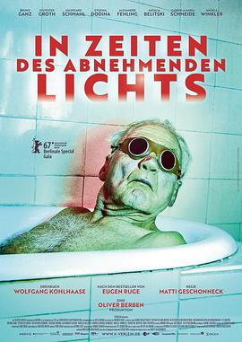 光芒渐逝的年代 In Zeiten des abnehmenden Lichts (2017)海报
