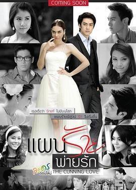 狡猾的爱 แผนร้ายพ่ายรัก (2013)海报