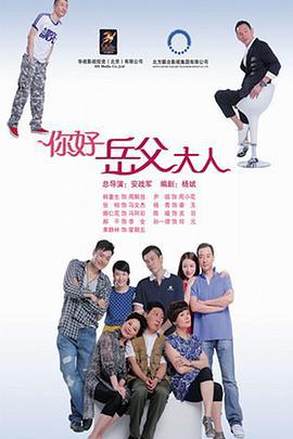 家事也是事 (2013)海报