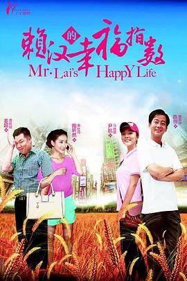 赖汉的幸福指数 (2012)海报