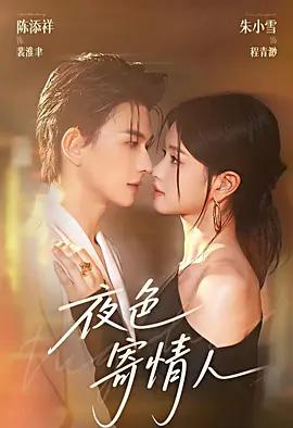 夜色寄情人 (2025)海报
