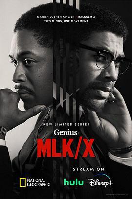 天才 第四季 Genius Season 4 (2024)海报