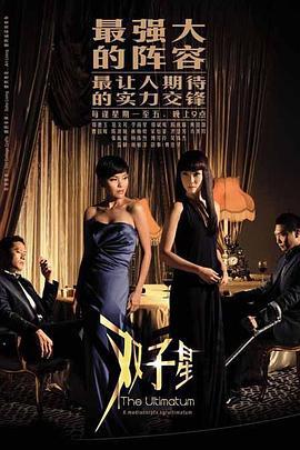 双子星 (2009)海报