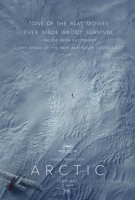 北极 Arctic (2018)海报