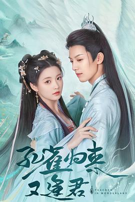 孔雀圣使请动心 (2024)海报