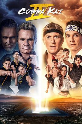 眼镜蛇 第四季 Cobra Kai Season 4 (2021)海报