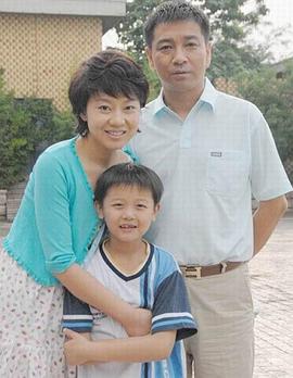 回家 (2009)海报