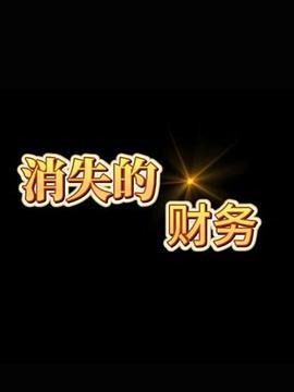 消失的财务 (2017)海报