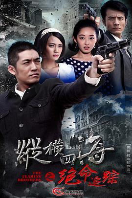 绝命追踪 (2015)海报