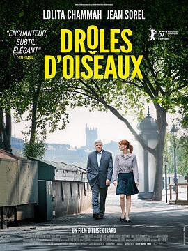 怪趣群鸟 Drôles d'oiseaux (2017)海报