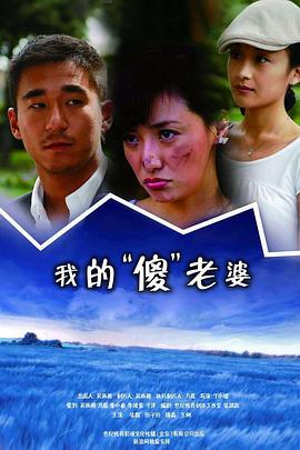 我的傻瓜老婆 (2009)海报