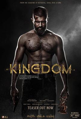 王国 Kingdom (2025)海报
