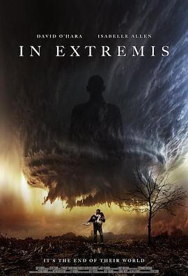 幻实浑沌 In Extremis (2017)海报