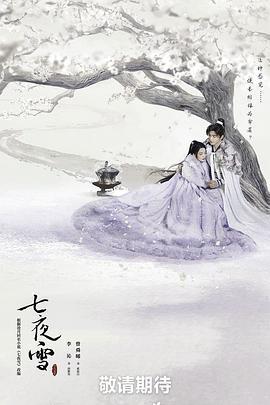 七夜雪 (2024)海报