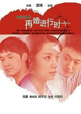 再婚进行时 (2011)海报
