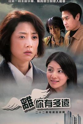 离你有多远 (2008)海报