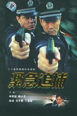紧急追捕 (2001)海报