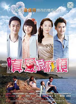 真爱惹麻烦 (2013)海报