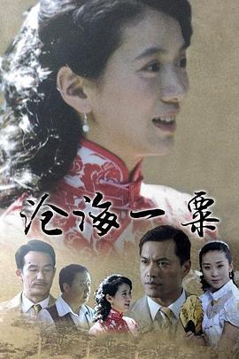 沧海一粟 (2017)海报