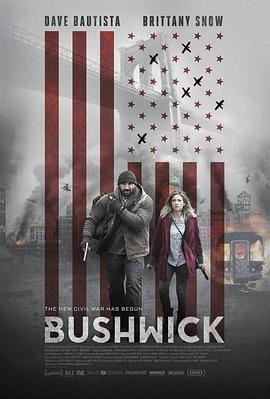 布希维克 Bushwick (2017)海报
